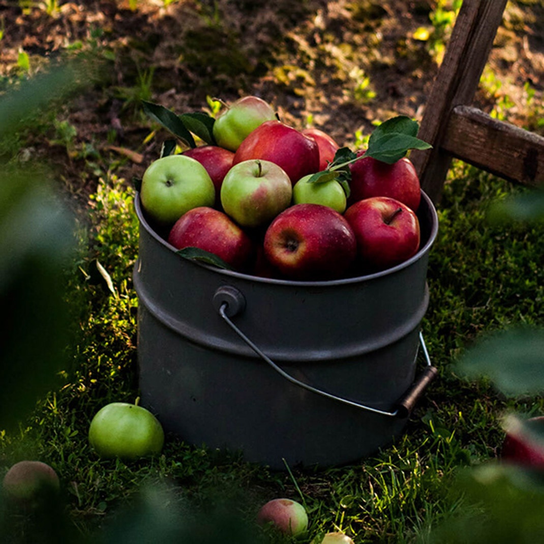 果汁品牌視覺設(shè)計