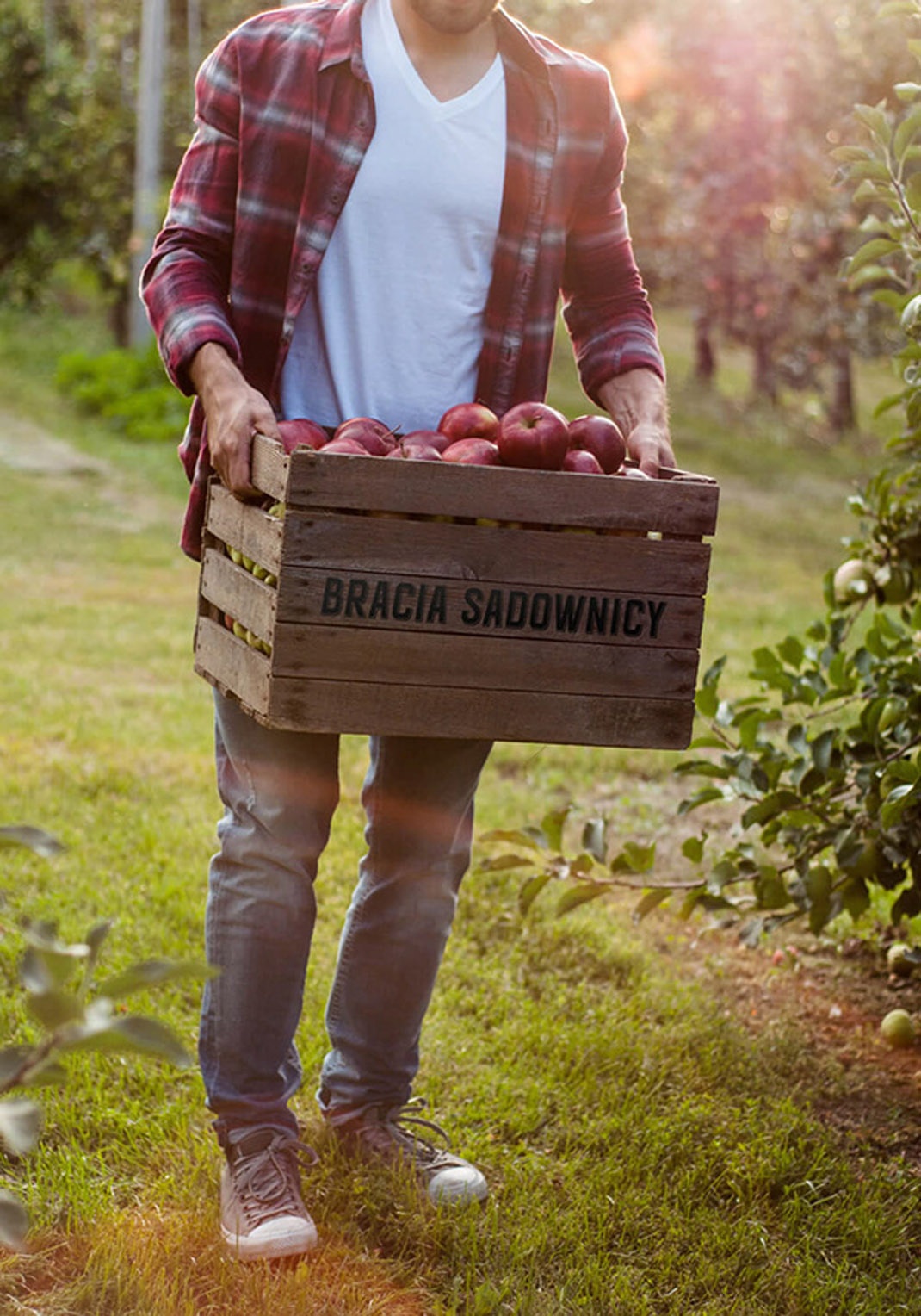 系列包裝設(shè)計