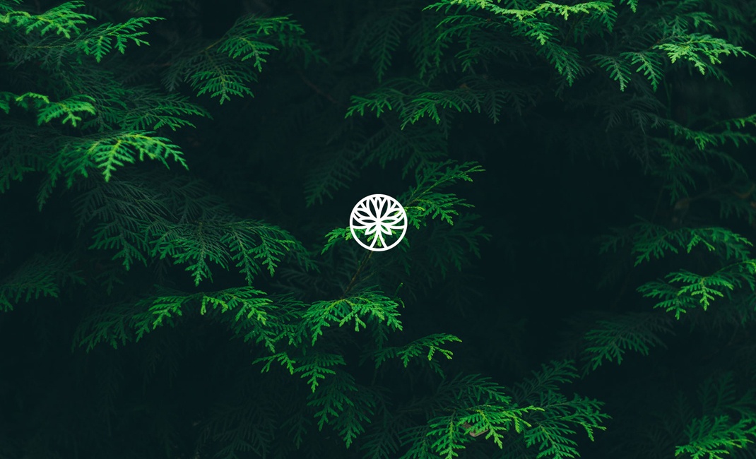 國外logo設(shè)計(jì)大全